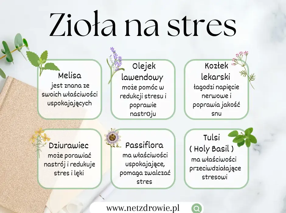 Skuteczne metody: co pomaga na nerwice i jak je stosować