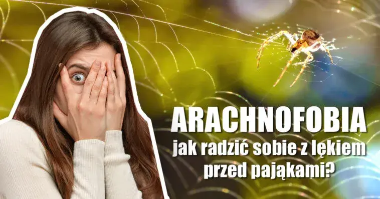 Czym jest arachnofobia? Lęk przed pająkami – objawy i sposoby radzenia sobie