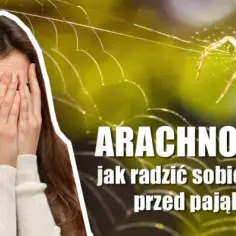 Czym jest arachnofobia? Lęk przed pająkami – objawy i sposoby radzenia sobie